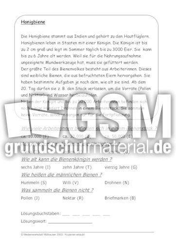 Honigbiene.pdf